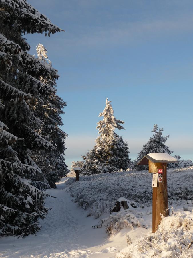 Berghotel Hoher Knochen Winterberg Exterior foto